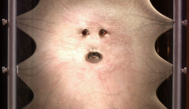 369689_orig.jpg